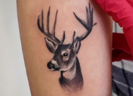 tatuaje animal ciervo