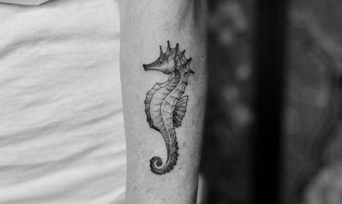tatuajes caballito de mar hombre
