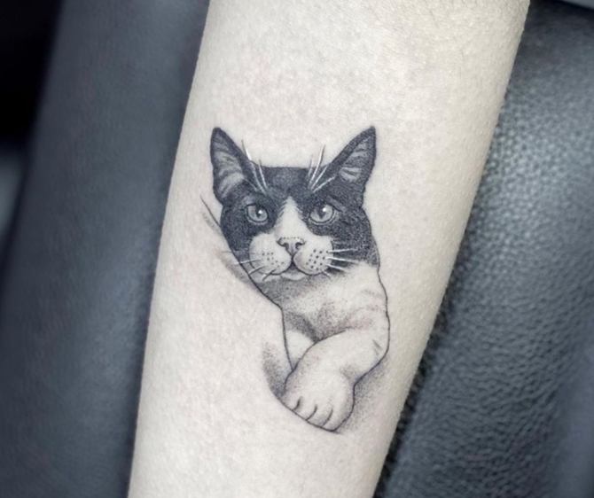 Orgulloso por favor confirmar péndulo Tatuajes de Gatos - Tatuing