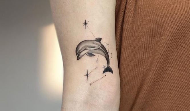 tatuajes delfin brazo