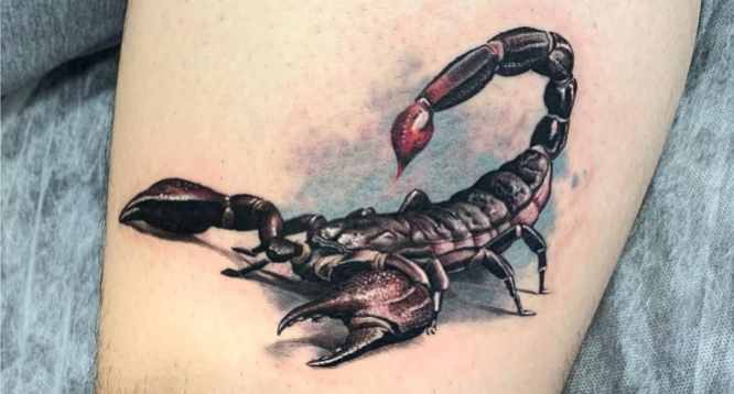tatuajes escorpion 3d
