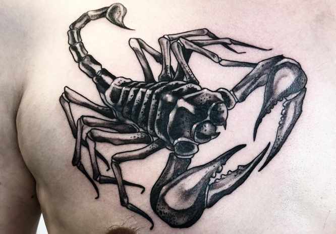 tatuajes escorpion pecho