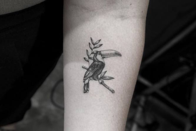 tatuajes antebrazo animales tucan