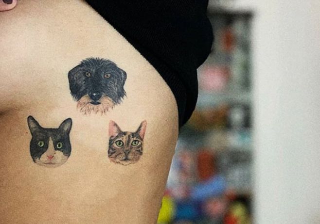 tatuajes blanca suarez perro gatos costado